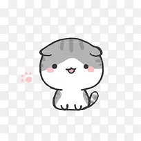 呆萌折耳猫