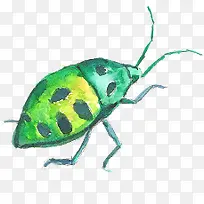 创意水彩手绘合成绿色的甲壳虫