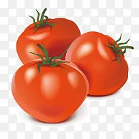 高清西红柿矢量素材