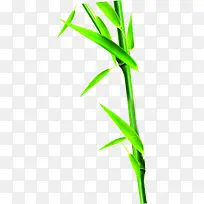 竹子端午节展架图片
