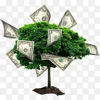 树与钱