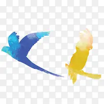 蓝黄色雏鸟