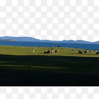 绿色草原牧场