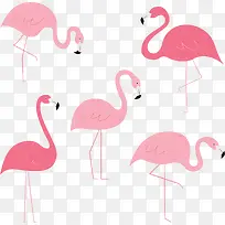 粉红色五个火烈鸟