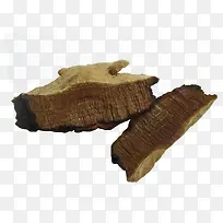 药用桑黄