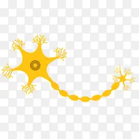 黄色长条形矢量神经细胞