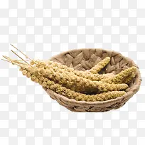 竹篮子里的黄色小米穗
