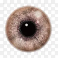 矢量棕色眼珠瞳孔