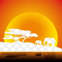 非洲大草原夕阳下的大象群