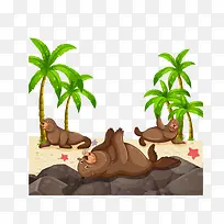 海狮和椰子树