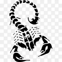 蝎子纹身图案