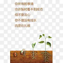 心灵鸡汤