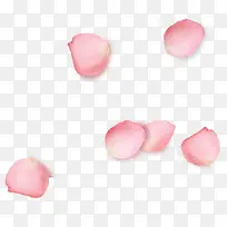 粉色水粉花瓣漂浮素材