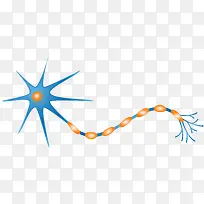蓝色反射弧矢量神经细胞
