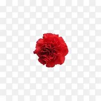 红色花朵装饰