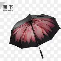 黑色的雨伞花卉图案