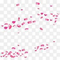 飘落的粉色花瓣叶片