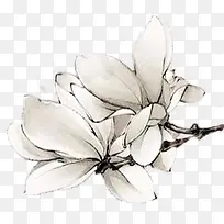 水墨白色花朵