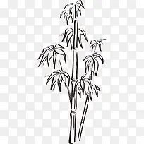 挺拔的竹子竹叶线描图