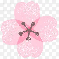 清新花朵
