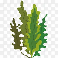绿藻植物