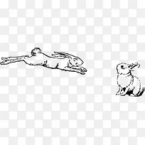 素描两只兔子