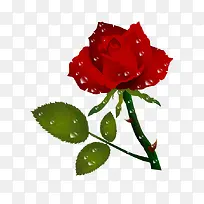 卡通装饰背景红色玫瑰