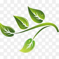 茶叶简笔画新鲜茶叶