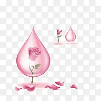 在粉色水滴中的玫瑰花
