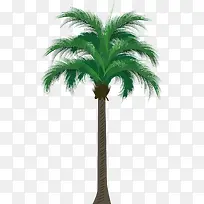 矢量图海边椰子树