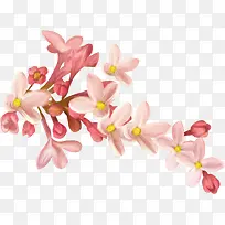 粉色手绘桃花枝头花朵