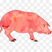 水彩画猪矢量图