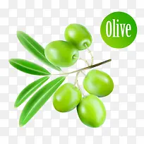 绿油油的橄榄果子