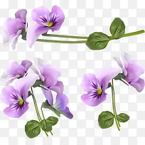 紫色兰花装饰框