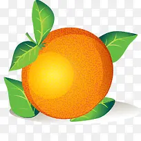 立体手绘风格柑橘