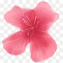 水粉红色鲜花