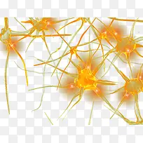 神经系统神经元示意图去背景