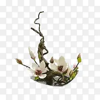 禅意插花