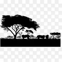 黑白非洲草原猎豹狮子剪影