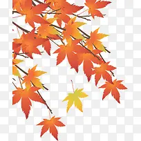 秋天枫叶装饰元素