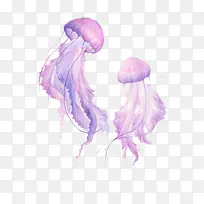 手绘紫色水母
