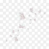 白花漂浮素材图片