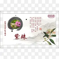 中草药紫珠