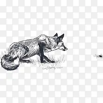 素描狐狸