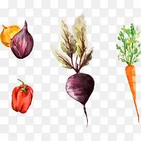 矢量手绘水彩蔬菜
