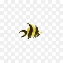 海鱼娃娃鱼观赏鱼