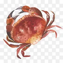 彩绘螃蟹