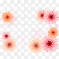 粉色雏菊矢量边框装饰花纹素材