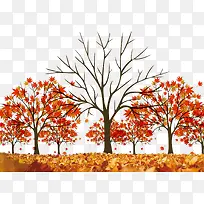 二十四节气秋分树木风景