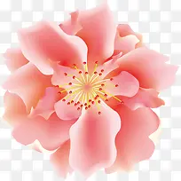 粉色3D立体花朵